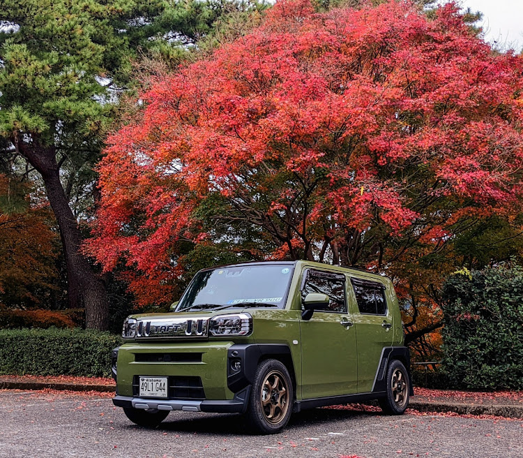 タフトの野岳湖・紅葉ドライブ・紅葉と愛車・紅葉・紅葉コラボに関するカスタム事例の投稿画像5枚目