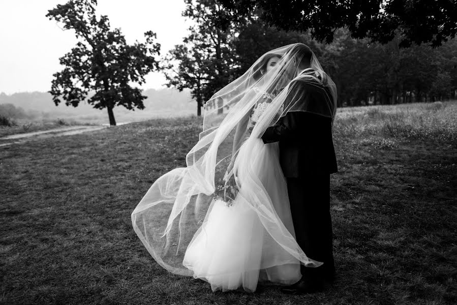 Fotógrafo de bodas Yuliya Rabkova (yuliaryaba). Foto del 26 de julio 2017