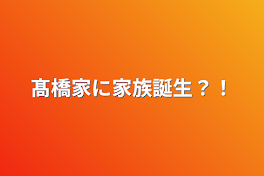 髙橋家に家族誕生？！