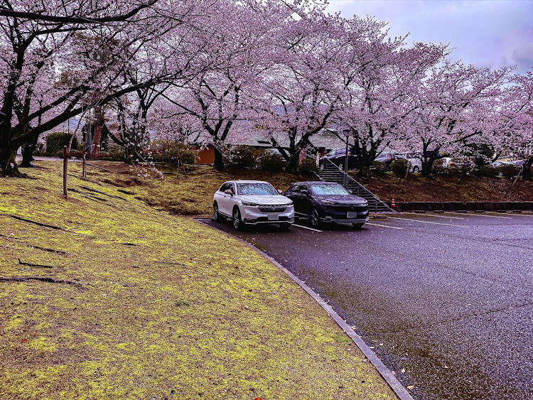 ヴェゼルのHONDA・春めき桜・桜とコラボ・無限・MUGENに関するカスタム事例の投稿画像7枚目