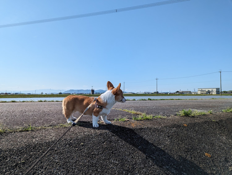 の投稿画像13枚目