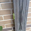 Green Anole