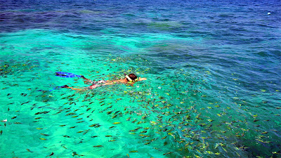 Snorkel with colourful fish in Phi Phi Leh Lagoon