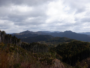 左奥に鳶ノ巣山（その右下が県境稜線）、右に大日山