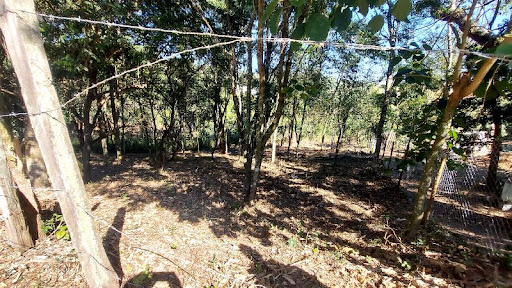 Terrenos à venda Chácaras Cangueirinha