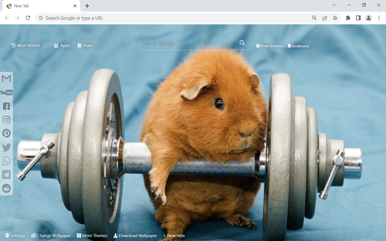 Guinea Pig Wallpaper Preview image 2