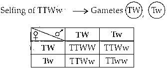 Solution Image