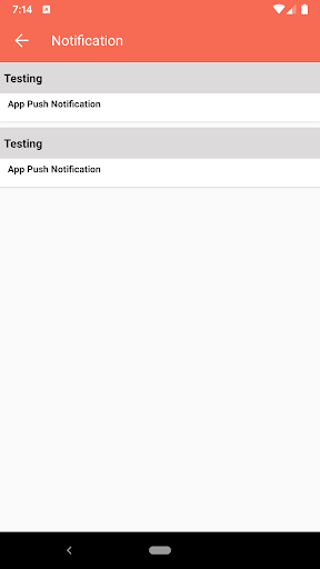 Holy Mission Public School Jamui