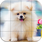 Tile Puzzle Pomeranian Dogs 1.13