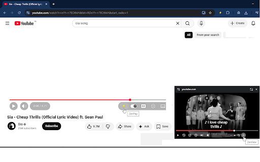 ZenPlay – Picture-in-Picture with Captions screenshot 1