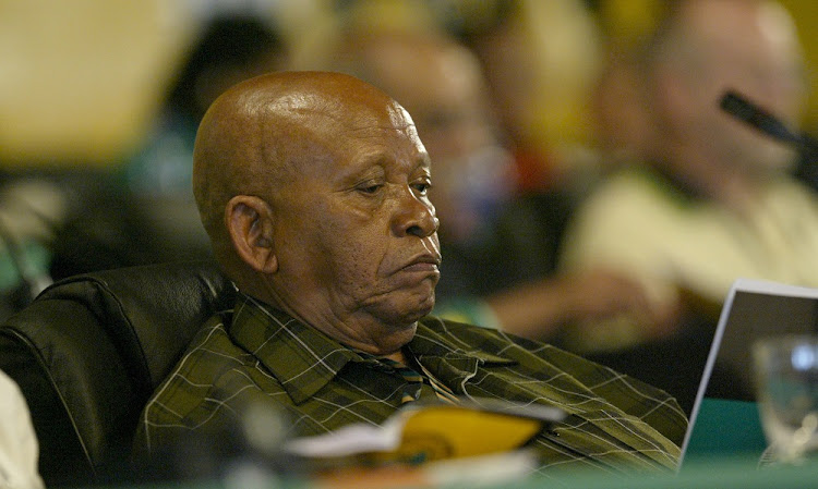 The late former ANC treasurer-general Mendi Msimang.