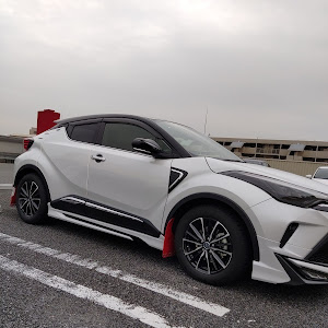 C-HR ZYX11