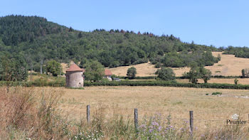 terrain à Sommant (71)