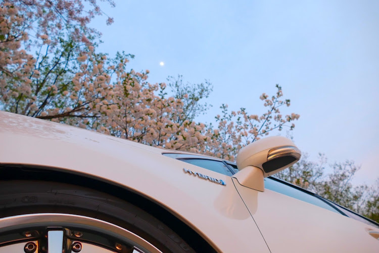 SAIの桜とコラボ🌸・TOYOTA SAIに関するカスタム事例の投稿画像1枚目