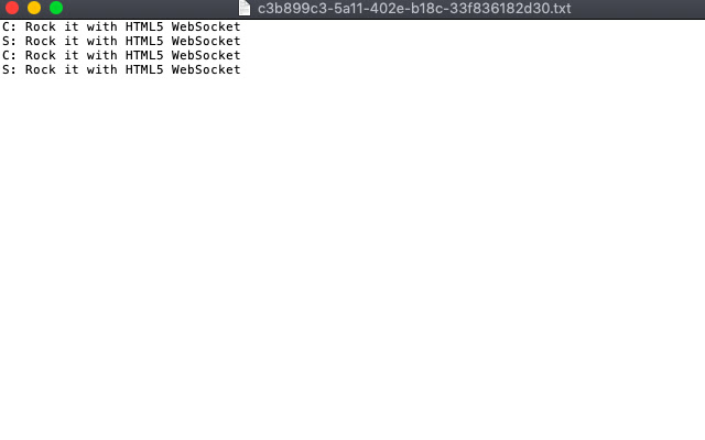 Websocket Logger