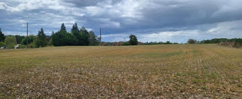 terrain à Champagnac-de-Belair (24)