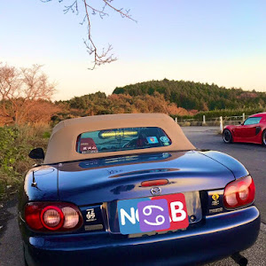 ロードスター NB6C