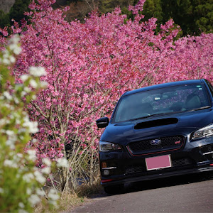 WRX STI VAB