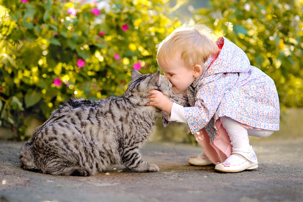 Cutest Photos Ever That Will Make You Get a Cat Friend for Your Baby