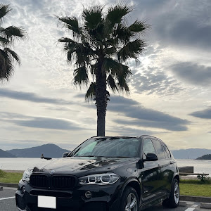 X5 xDrive 35d