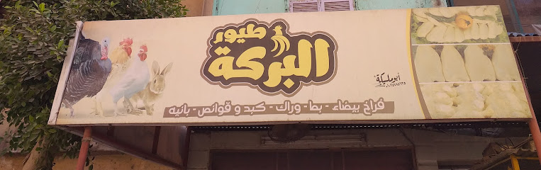 طيور البركة