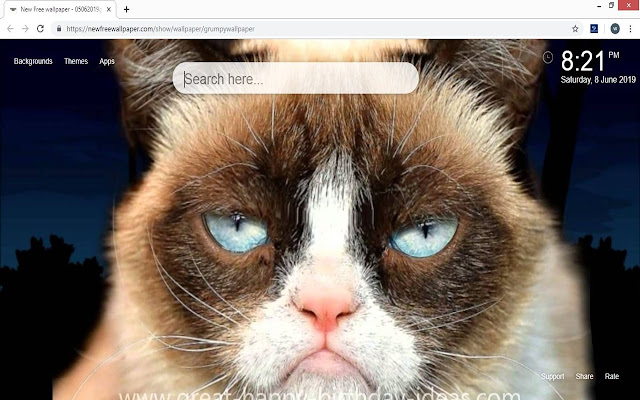 Grumpy Cat HD Wallpapers New Tab Themes