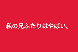 私の兄ふたりはやばい。