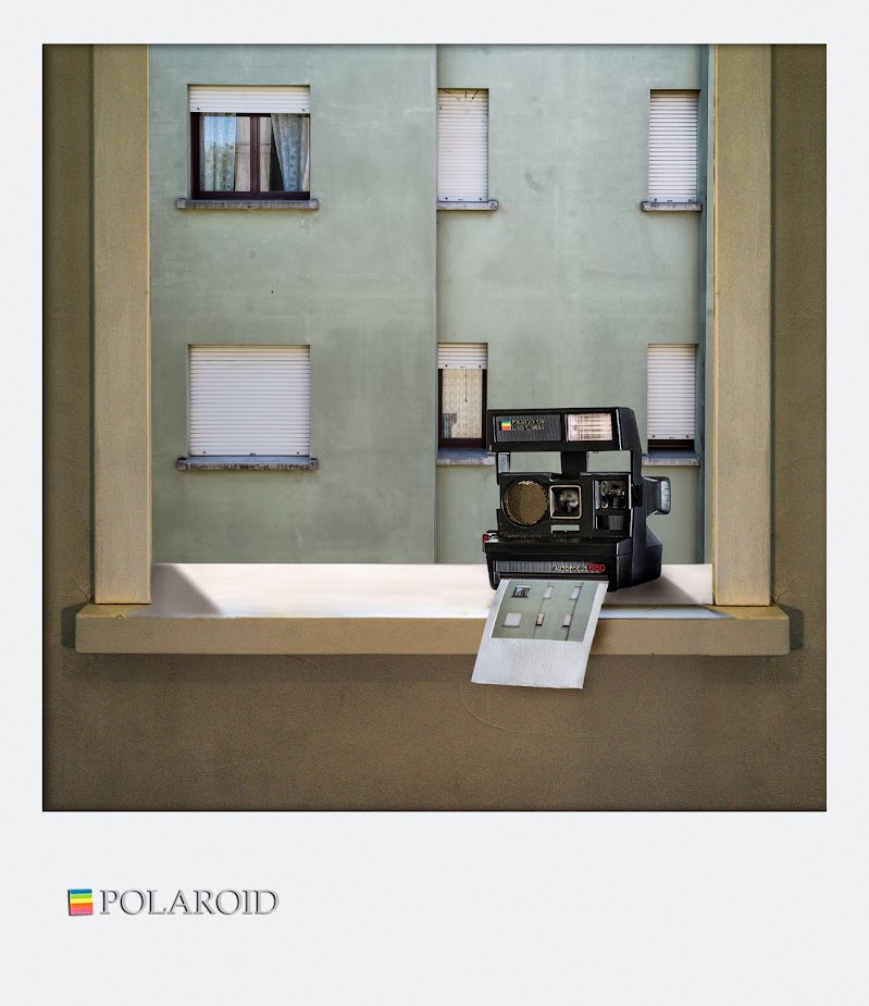 polaroid di bi