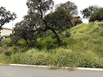 terrain à Sainte-Maxime (83)