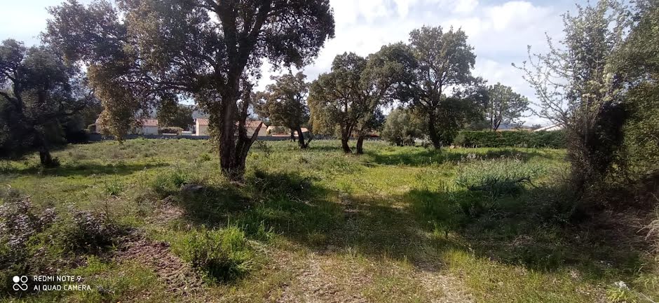 Vente terrain à batir  941 m² à Solaro (20240), 125 000 €