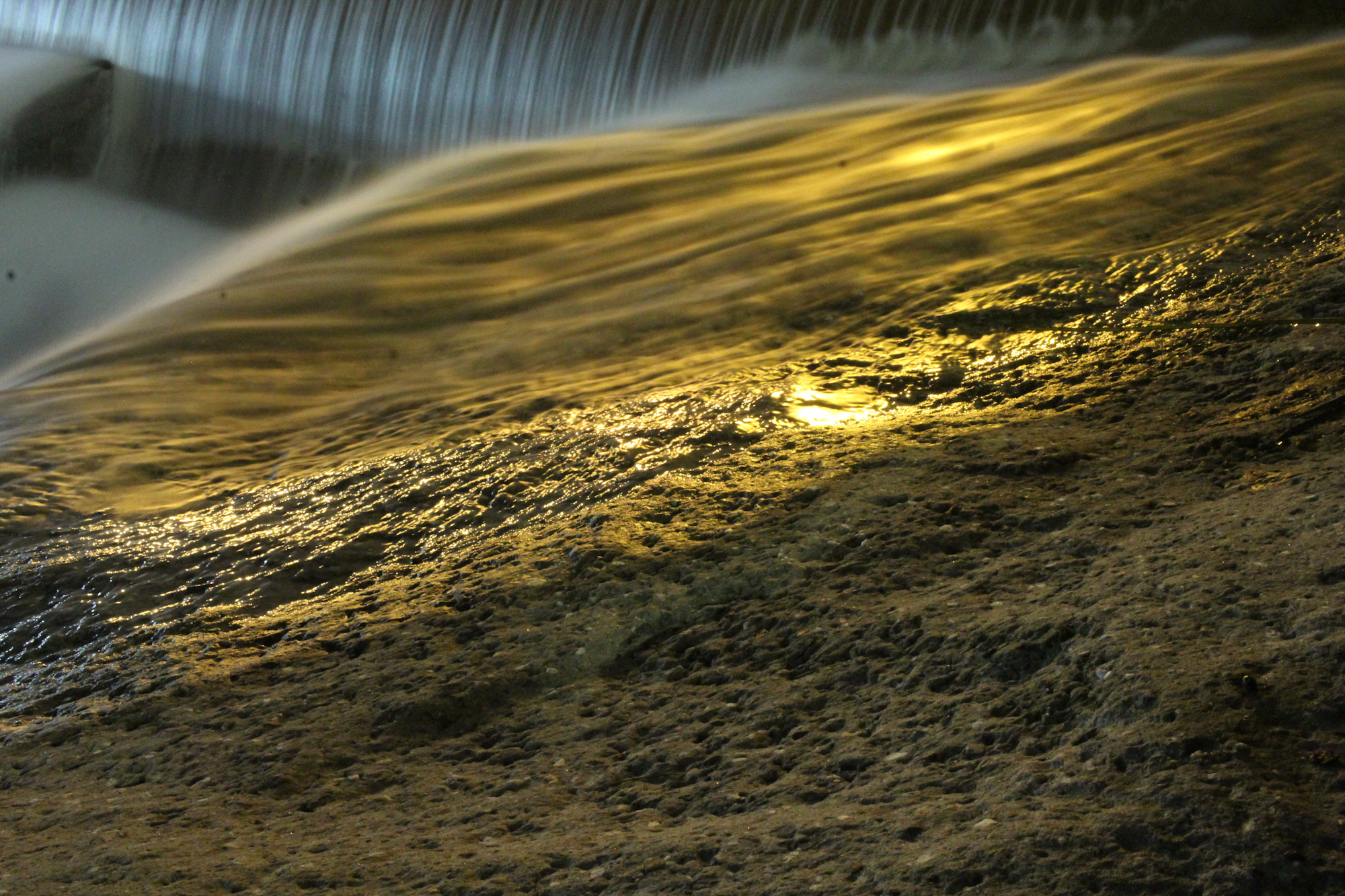 golden water di Merlograziano