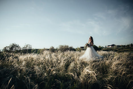 Fotógrafo de casamento Svetlana Domnenko (atelaida). Foto de 25 de abril 2020