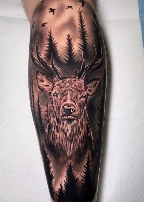  Forest Stag 