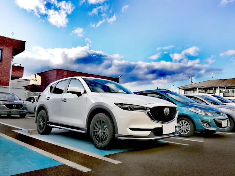 CX-5の洗車・飛び石被害？・似顔絵に関するカスタム事例の投稿画像1枚目