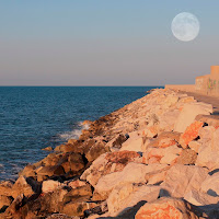 S'io fossi piccolo come il grande oceano, mi leverei sulla punta dei piedi delle onde con l'alta marea, accarezzando la luna. Dove trovare un'amata uguale a me? Angusto sarebbe il cielo per contenerla!  di 