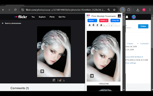 Flickr Metaligh Images Downloader