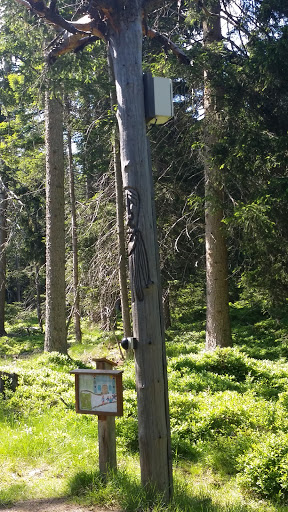 Station im Geisterwald 3