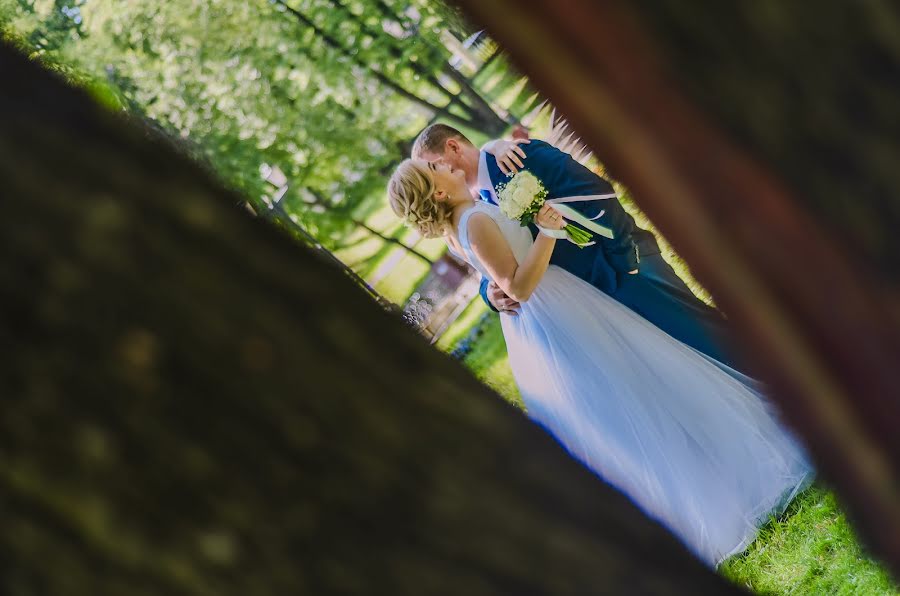 Fotografo di matrimoni Alina Sushenceva (sushka). Foto del 20 agosto 2017