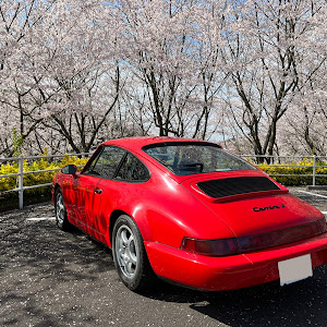 964 カレラ2