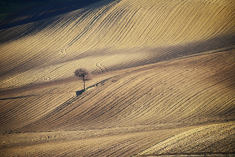 Solo tra onde di terra di Jorjo