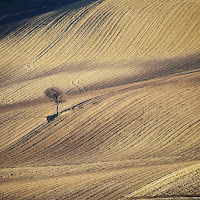 Solo tra onde di terra di 