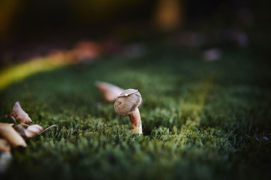 Fotografo di matrimoni Martyna Giermala (foni). Foto del 11 febbraio 2019