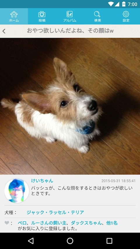 みんなでつくろう！犬図鑑のおすすめ画像3