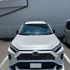 RAV4 AXAH54