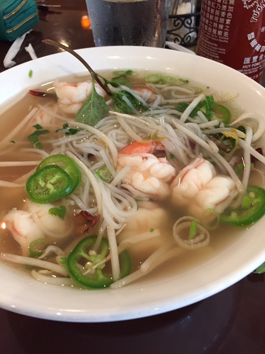 Gluten-Free at Pho Ha Linh: Vietnamese Noodles and Grill