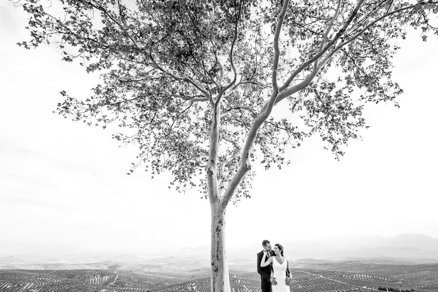 結婚式の写真家Sergio Montoro Garrido (trecepuntocero)。2023 12月21日の写真