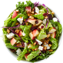 Sweet Apple Orchard Salad