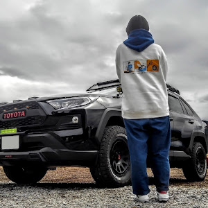 RAV4 MXAA54