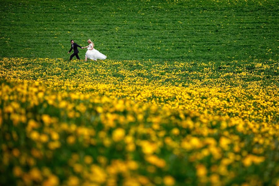 Vestuvių fotografas Marius Barbulescu (mariusbarbulescu). Nuotrauka 2015 liepos 24