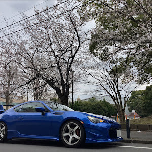 BRZ ZC6